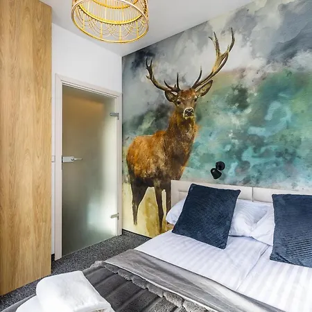 Bukowina Tatrzanska- Apartament Dudek Z Widokiem Na Tatry ブコビナ・タトシャンスカ