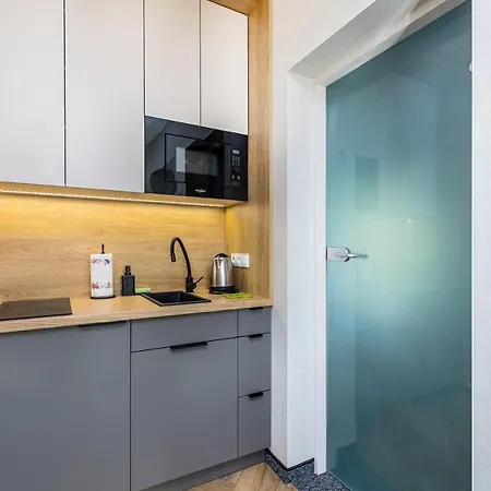 Bukowina Tatrzanska- Apartament Dudek Z Widokiem Na Tatry アパート